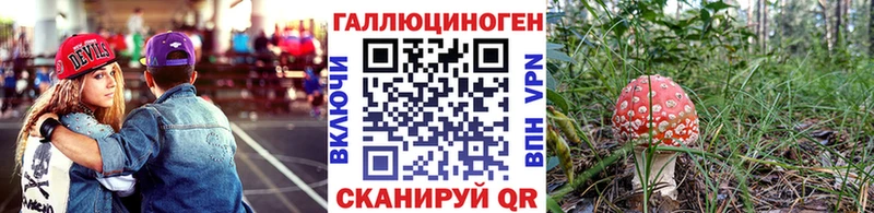 Галлюциногенные грибы мицелий  что такое   Пойковский 